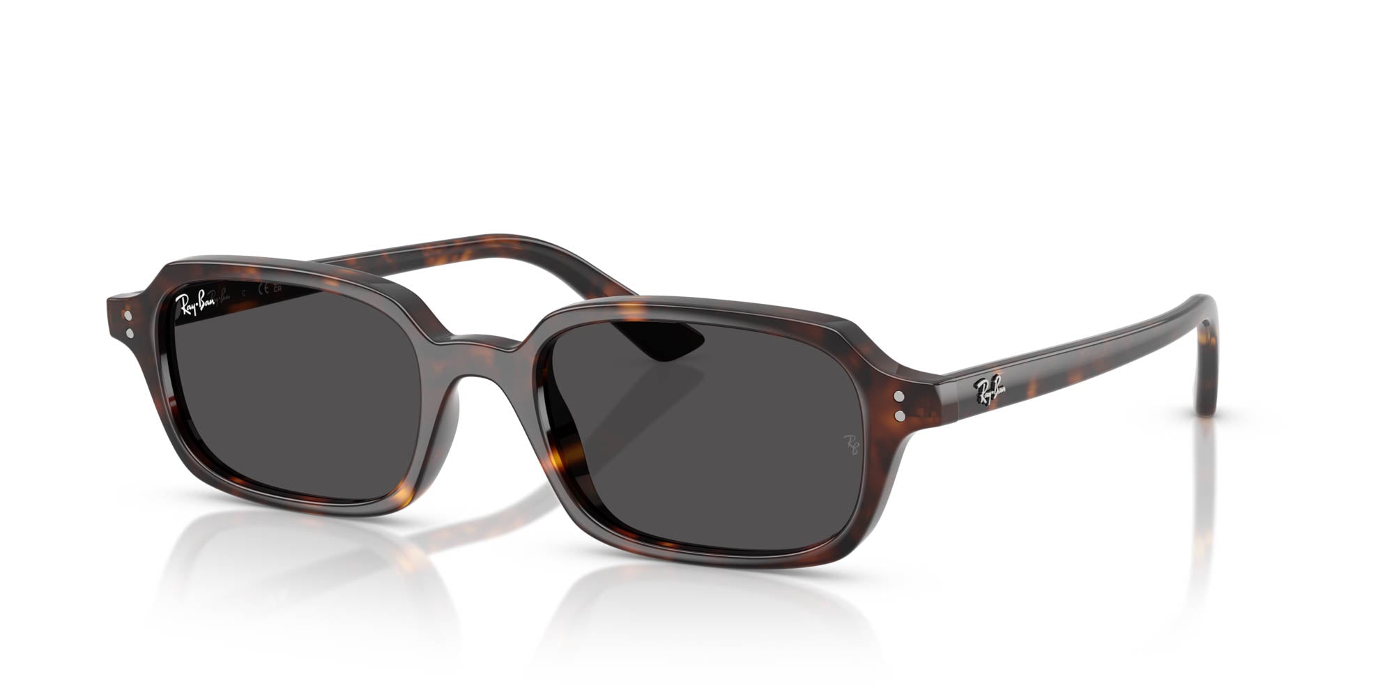 Ray-Ban Zuri RB4455