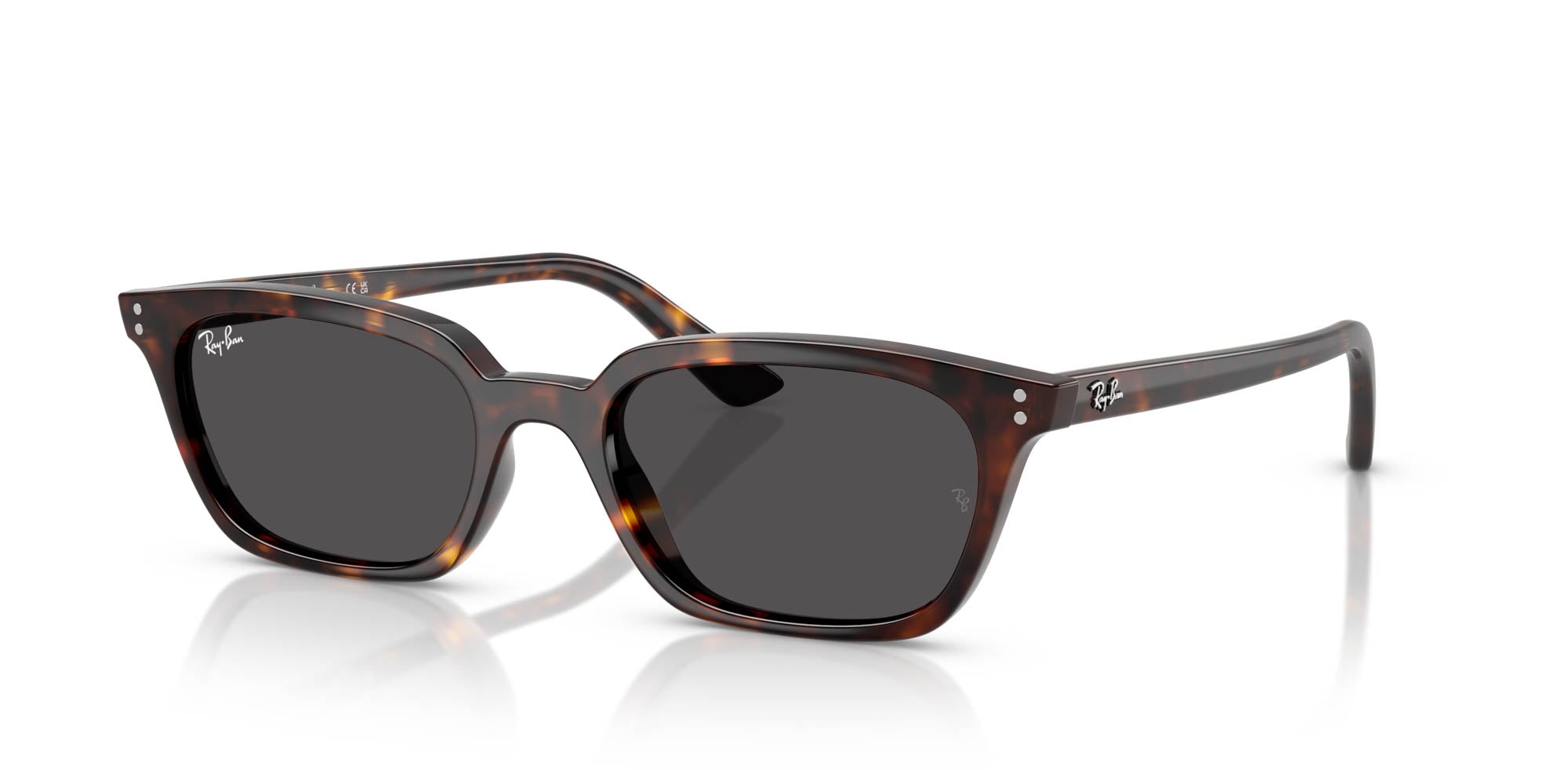 Ray-Ban Zaya RB4456