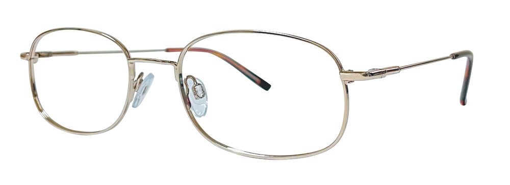 Stetson Stetson Stainless Steel 602 Eyeglasses