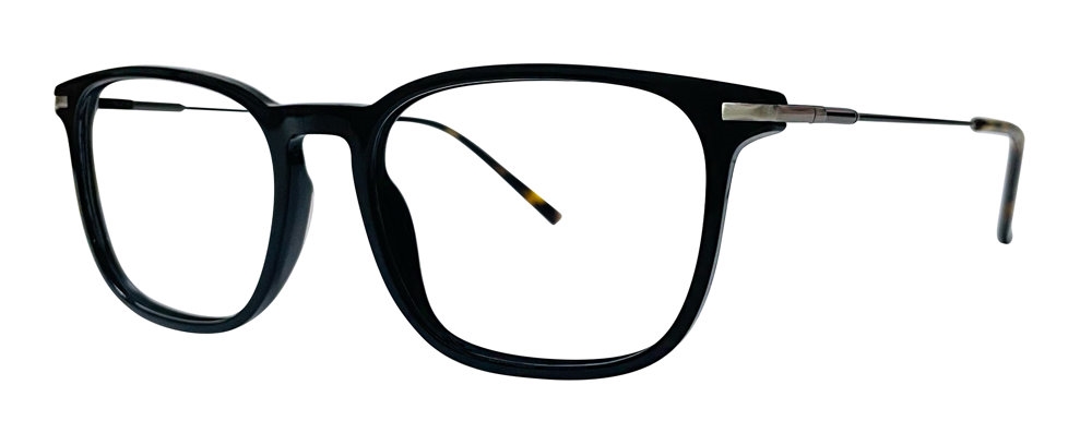 Stetson Stetson Stainless Steel 606 Eyeglasses