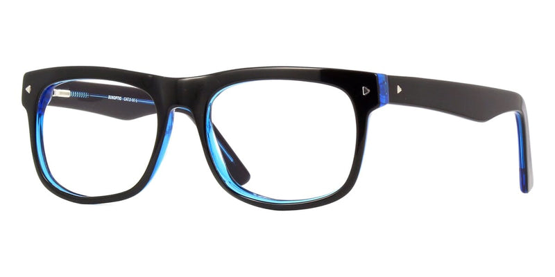 Carnegie Optical AP13D