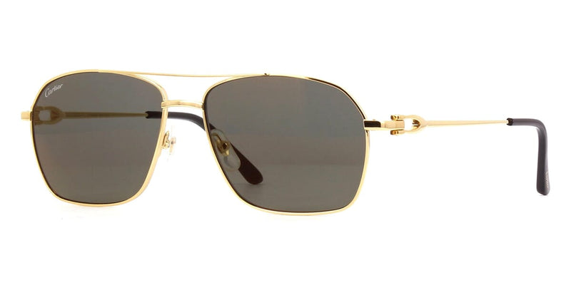 Cartier CT0306S 003