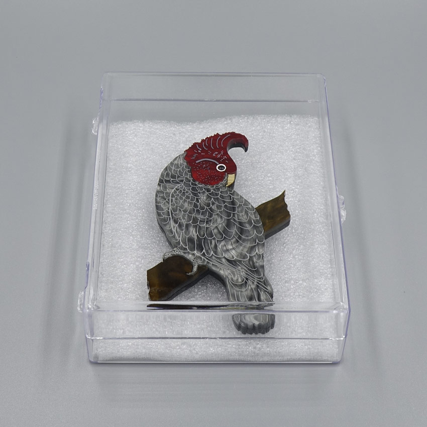 Large Clear Brooch Storage Or Display Kit
