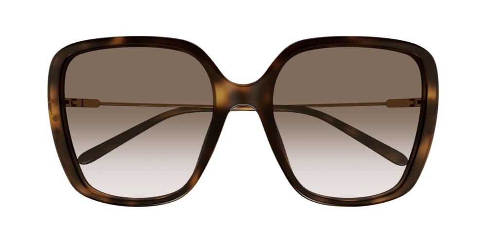 CH0173S Havana Butterfly Sunglasses