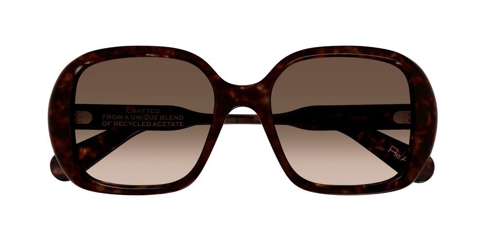 CH0222S Havana Oversize Sunglasses