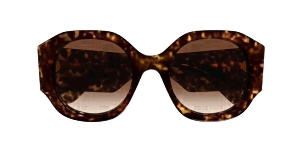 CH0234S Havana Oversize Sunglasses