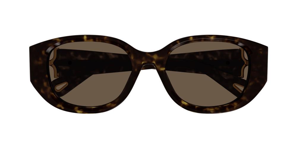CH0237SK Havana Cat Eye Sunglasses