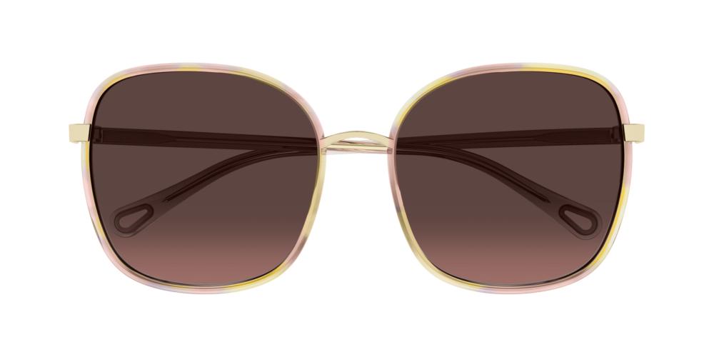 FRANKY CH0031S Havana Oversize Sunglasses