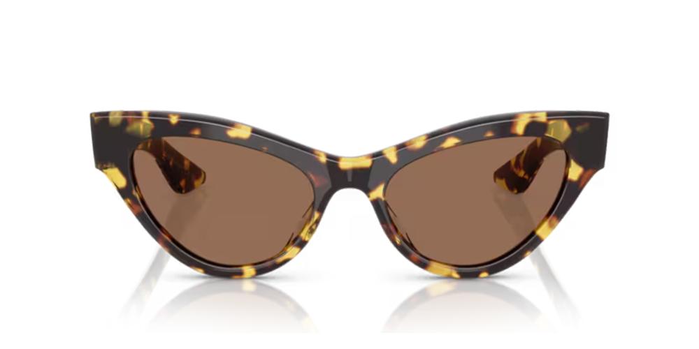 OV 5573SU Brown Cat Eye Sunglasses