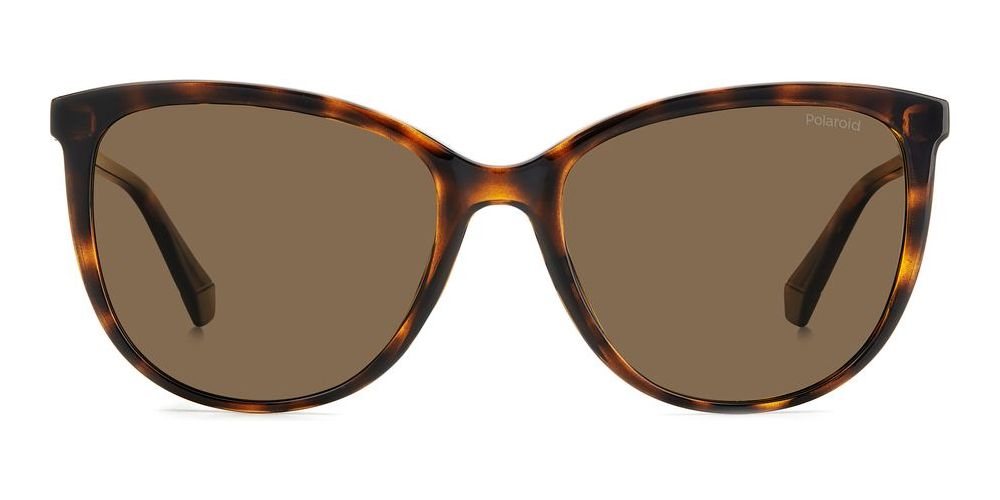 PLD 4138/S Havana Rectangle Sunglasses