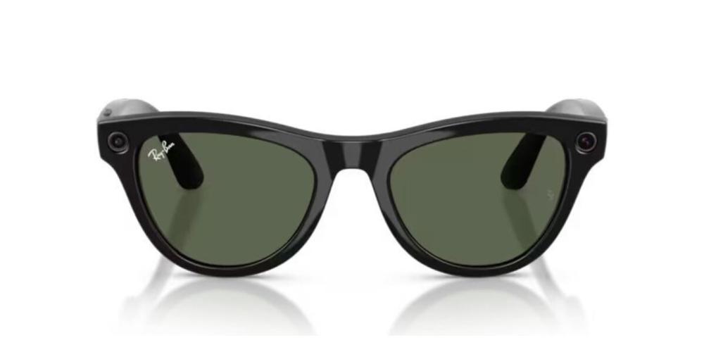 RAY-BAN META RW 4014 SKYLER Black Oval Sunglasses
