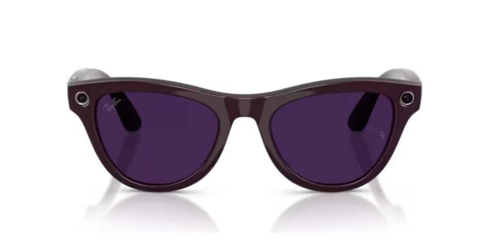 RAY-BAN META RW 4014 SKYLER Violet Oval Sunglasses