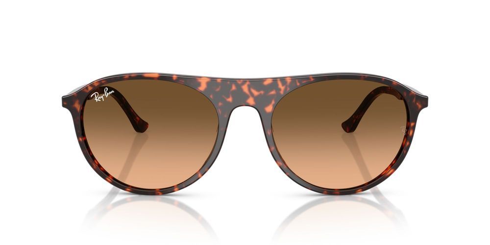 RB 2215  Sunglasses