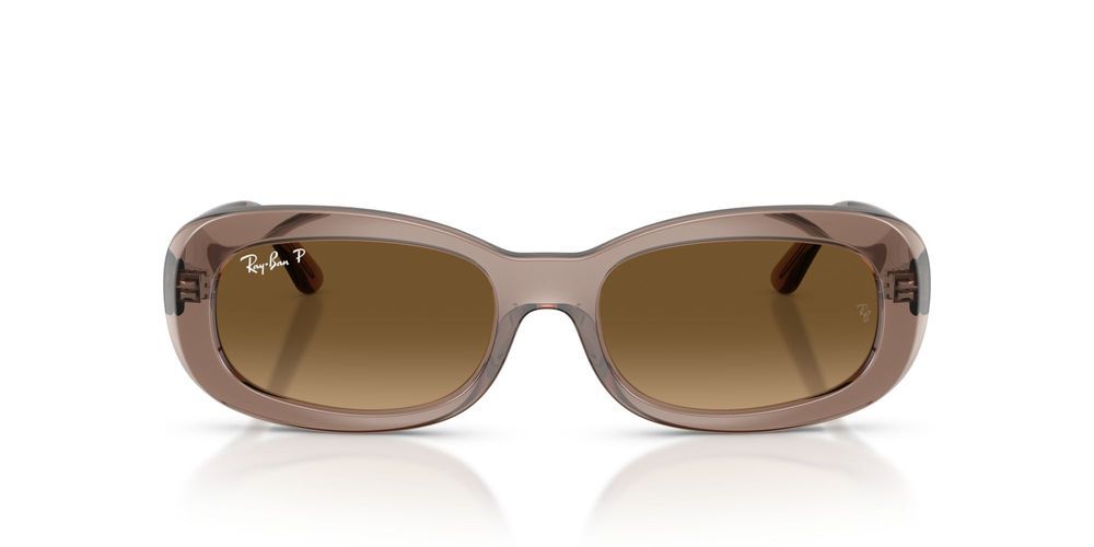 RB 2221 Brown Oval Sunglasses