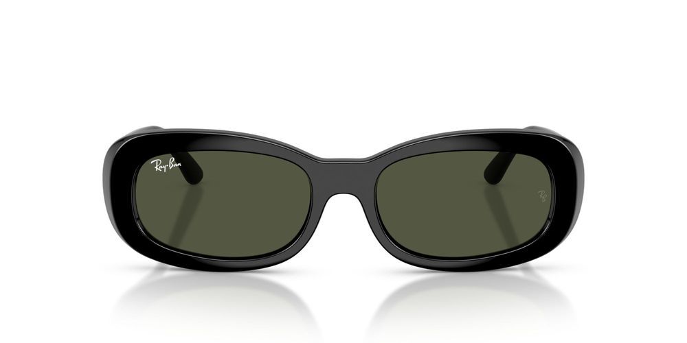 RB 2221 Black Oval Sunglasses