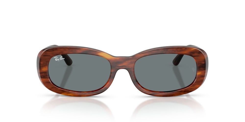 RB 2221 Havana Oval Sunglasses