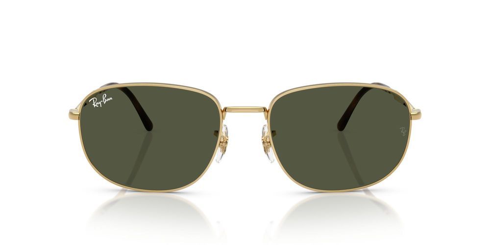 RB 3754  Sunglasses
