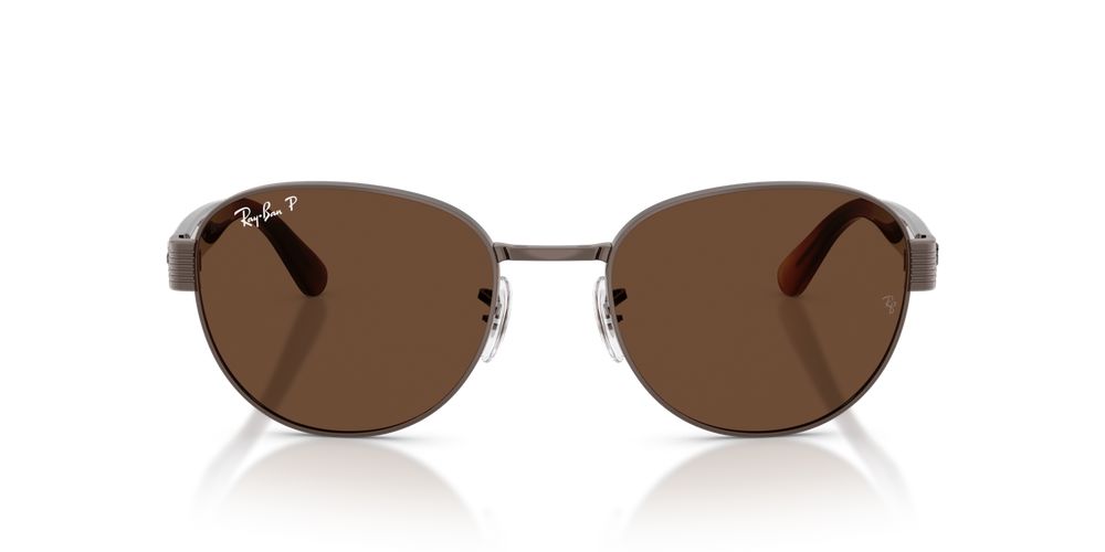 RB 3766CH Brown Sunglasses