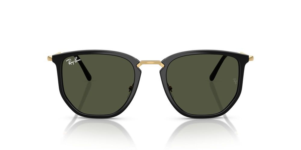 RB 4451  Sunglasses