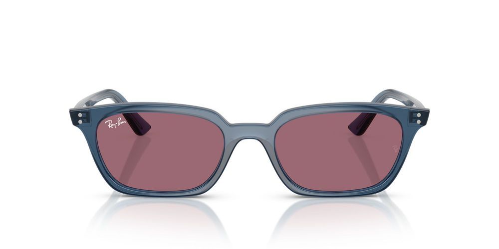 RB 4456  Sunglasses