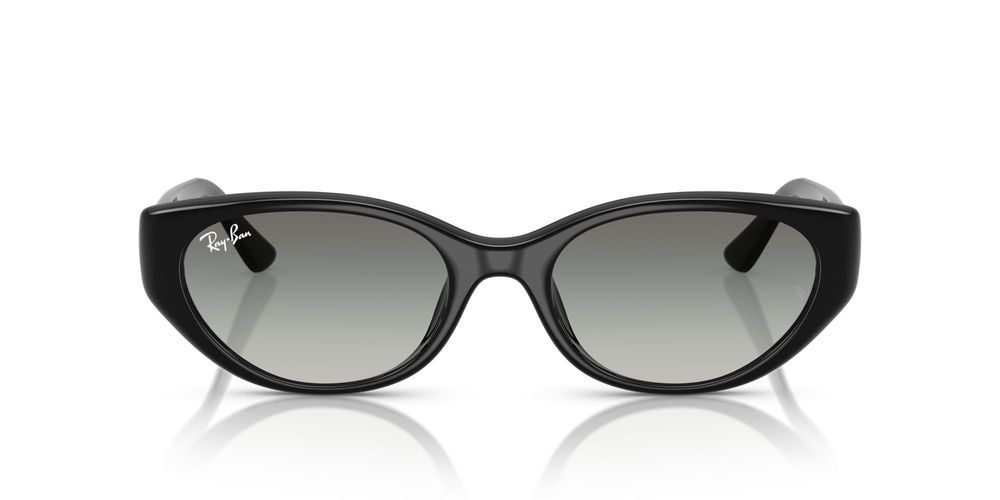 RB 4457D  Sunglasses