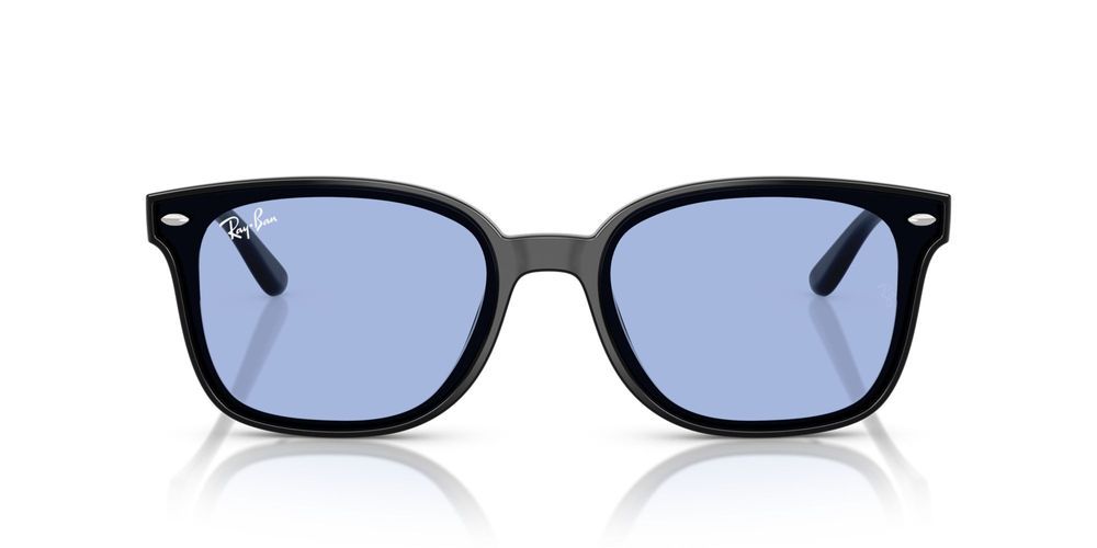 RB 4461D  Sunglasses