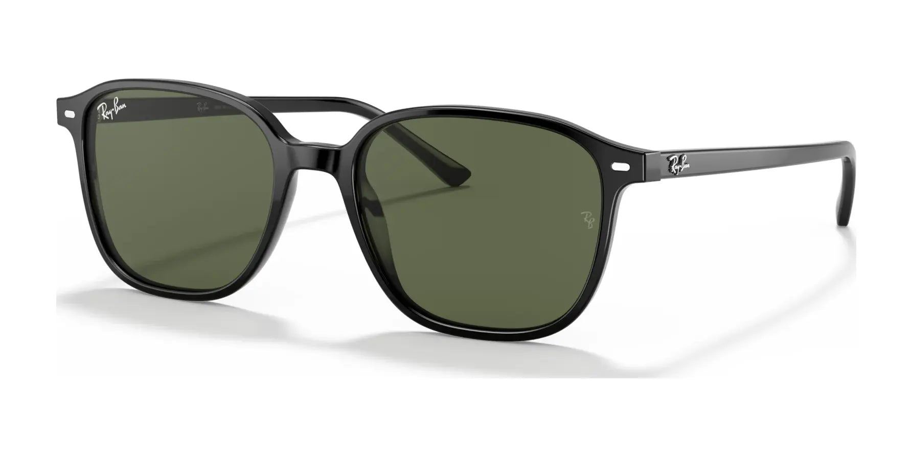 Ray-Ban LEONARD RB2193 Sunglasses