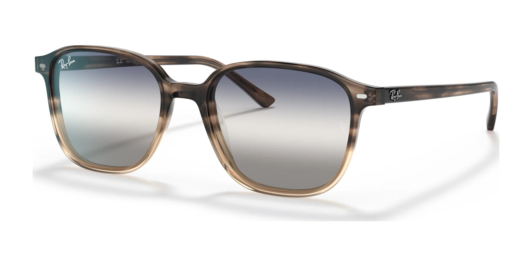 Ray-Ban LEONARD RB2193F Sunglasses | Size 55