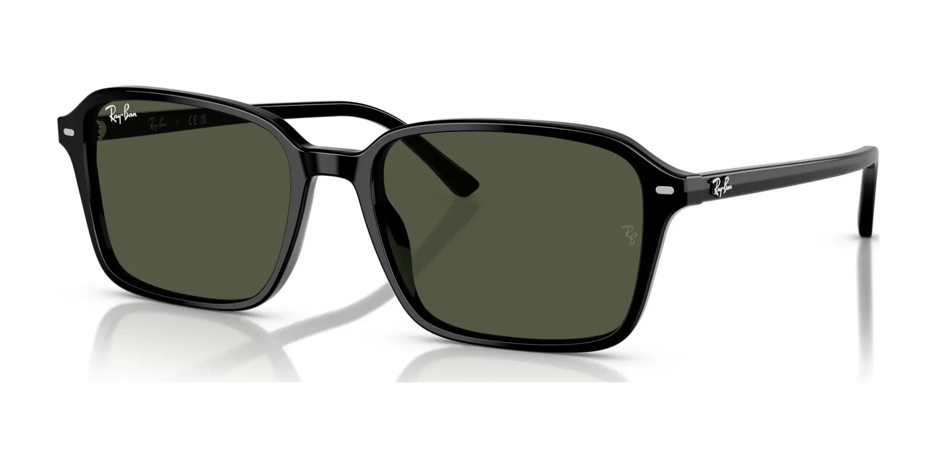 Ray-Ban RAIMOND RB2231F Sunglasses | Size 56