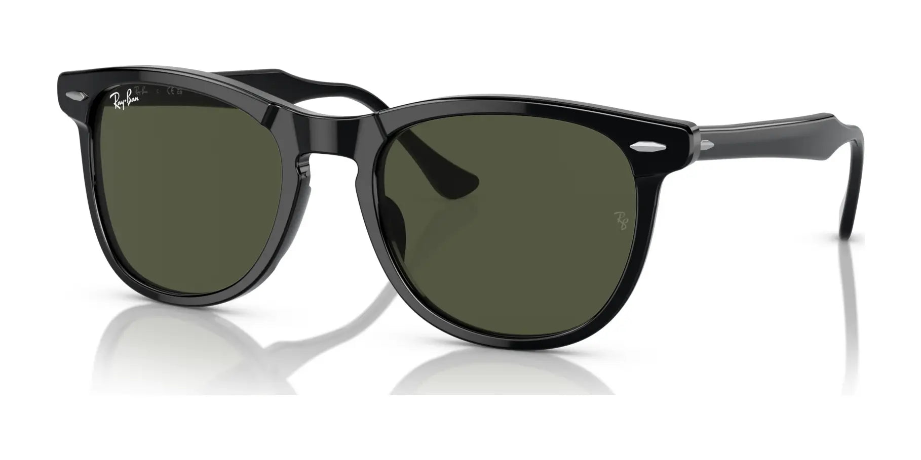 Ray-Ban EAGLEEYE RB2398F Sunglasses | Size 53